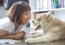 3 Rules for Solving Pet Behavior Problems